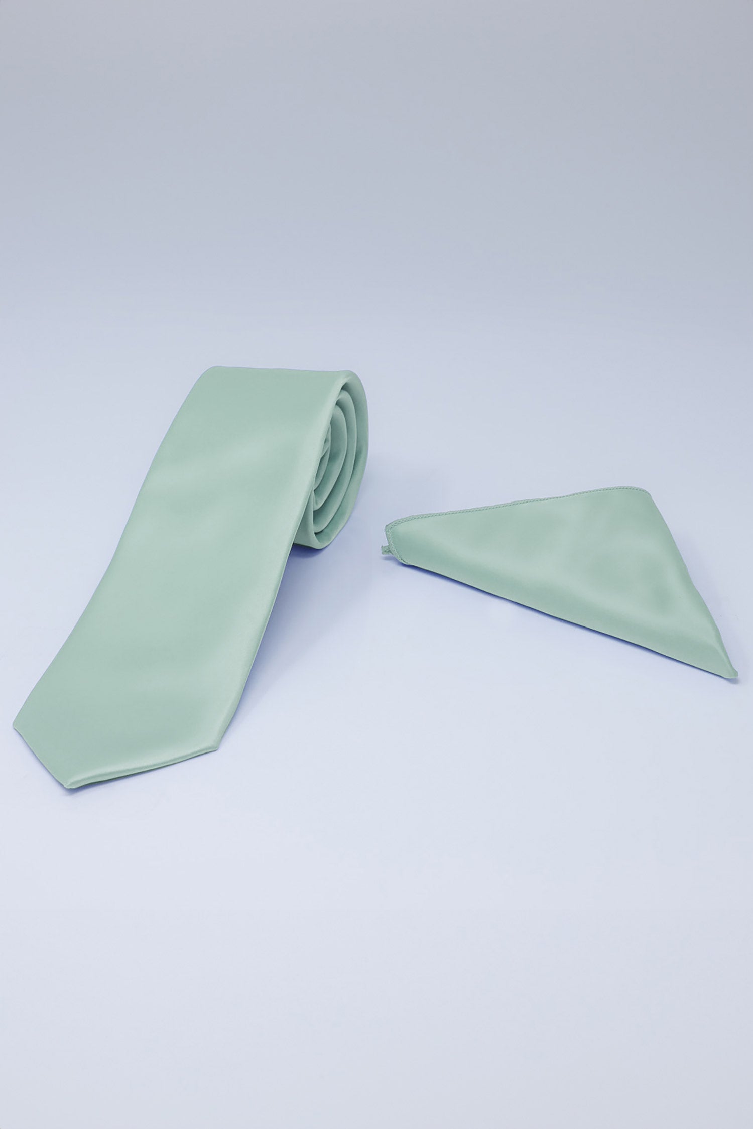 Barabas Men's Solid Color Shiny Satin Luxury Formal Necktie 4NT01 Sage Leaf