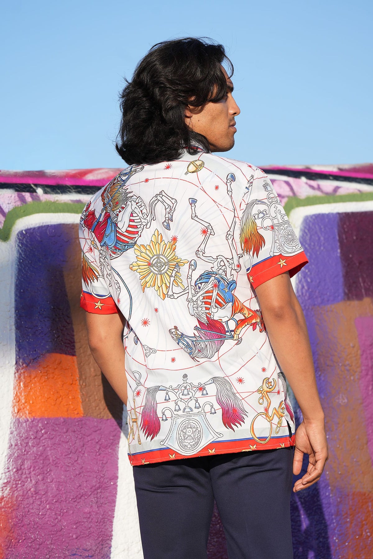 BARABAS Men's Animal Geometric Button Down Short Sleeve Shirts 4sst32 Multi