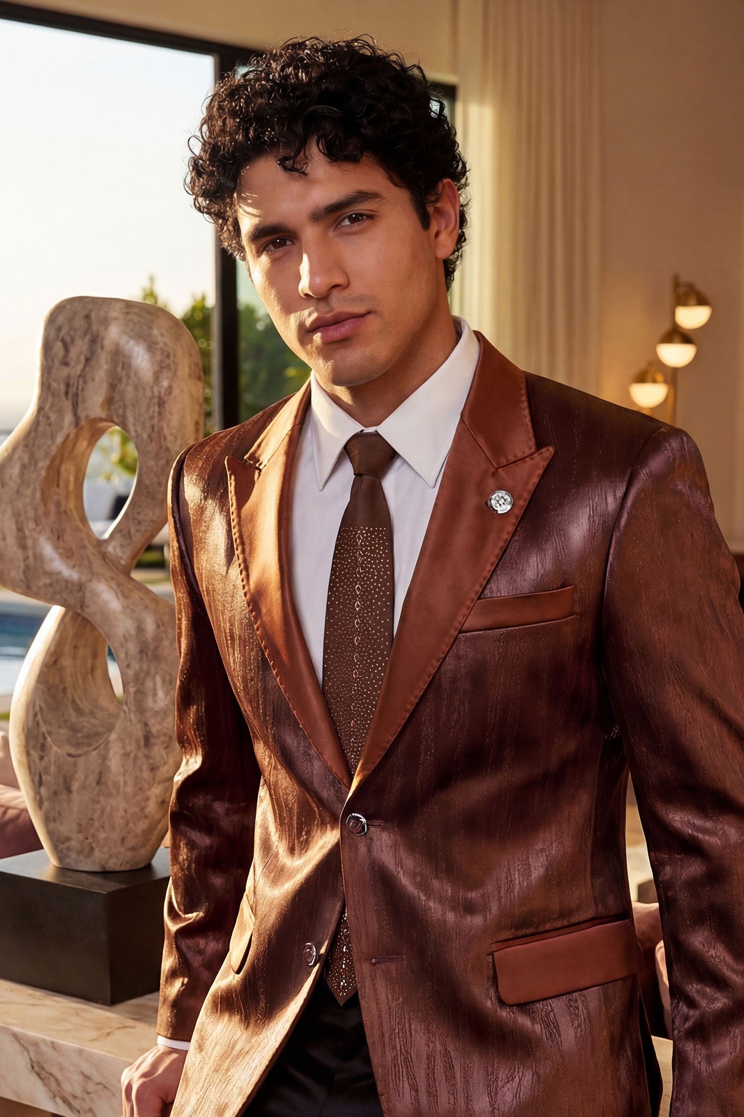 Barabas Men's Rhinestone Shiny Satin Luxury Formal Necktie 6NT01 Chocolate Gold