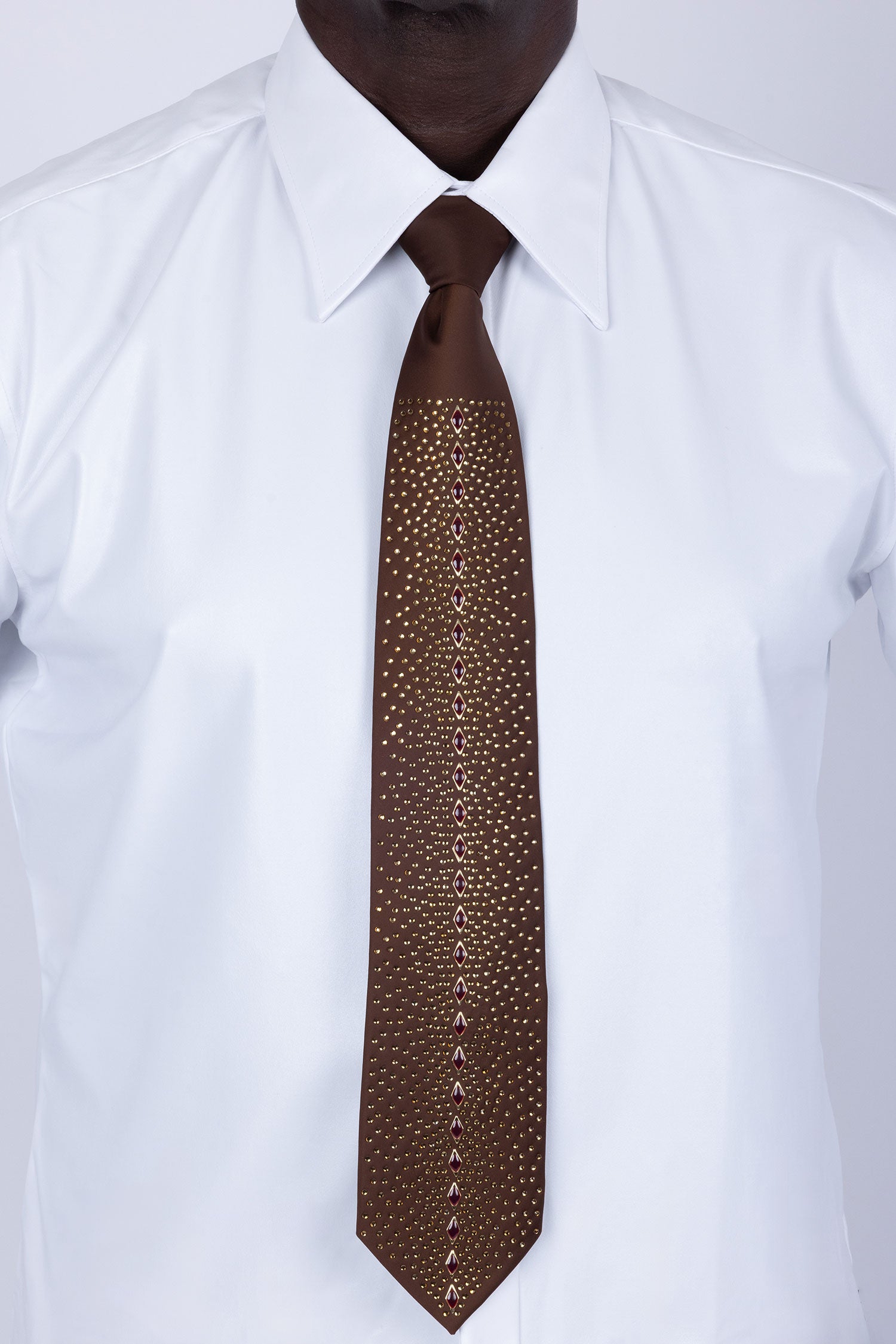 Barabas Men's Rhinestone Shiny Satin Luxury Formal Necktie 6NT01 Chocolate Gold