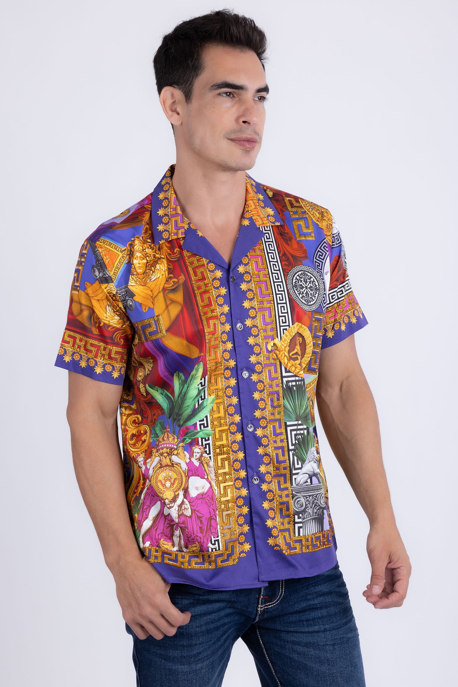 Men's Roman Rhinestone Casual Short-Sleeve Shirt | BARABAS 6SSR03 Brown