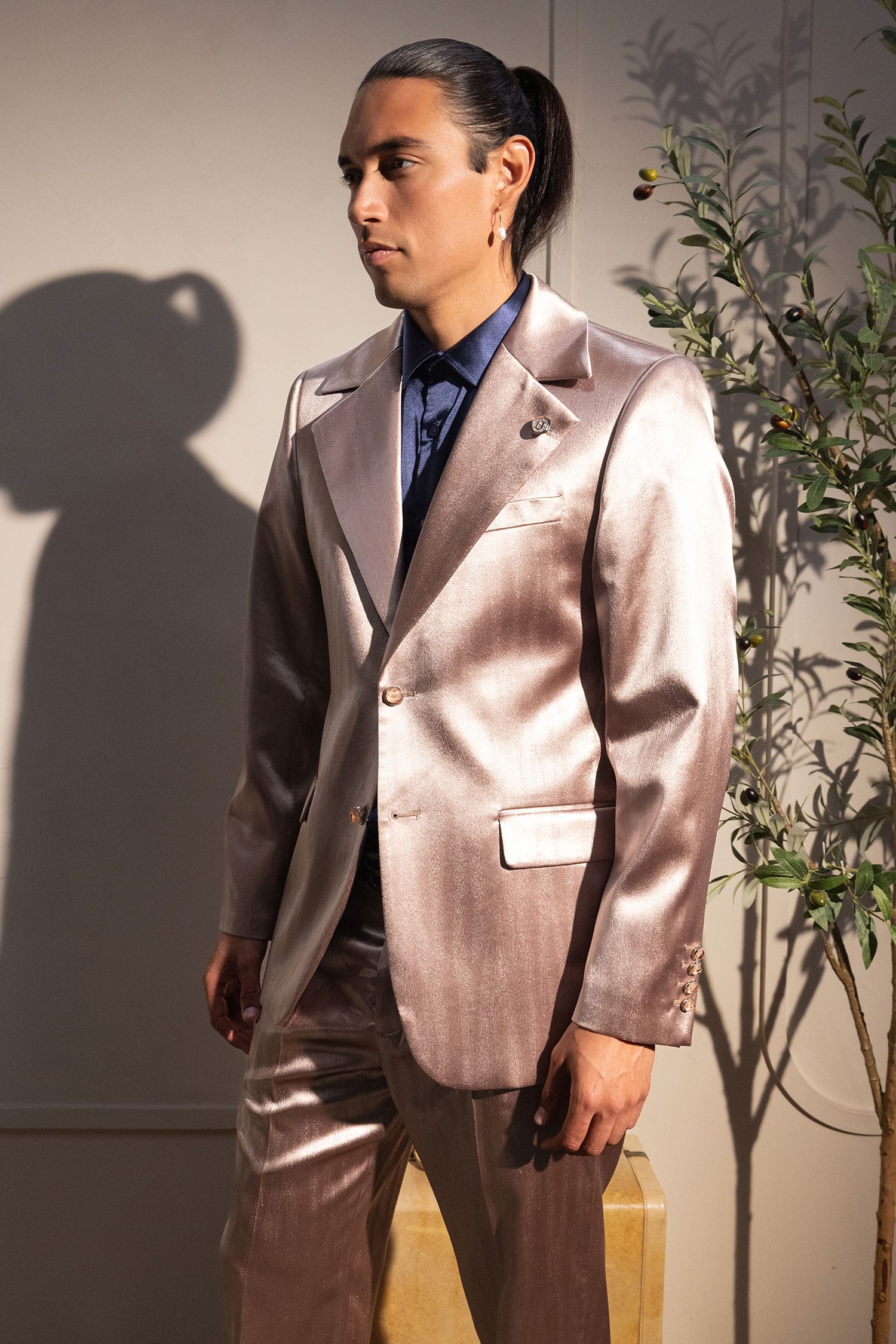 Barabas Men's Shiny Metallic Striped Pattern Notch Wide Lapel Suit 6SU04 Coffee