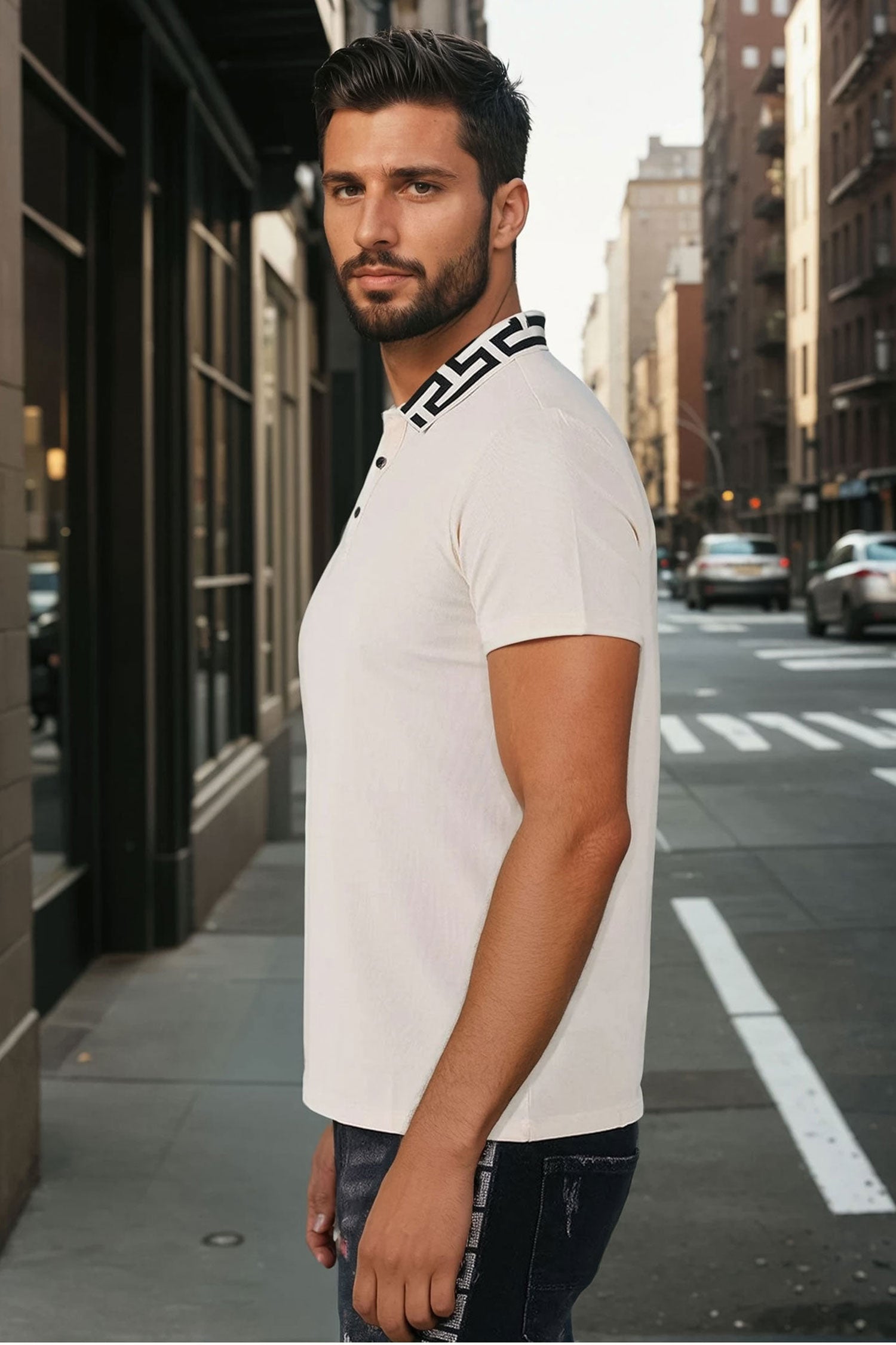 Barabas Men's Greek Key Printed Pattern Short Sleeve Shirts PS121