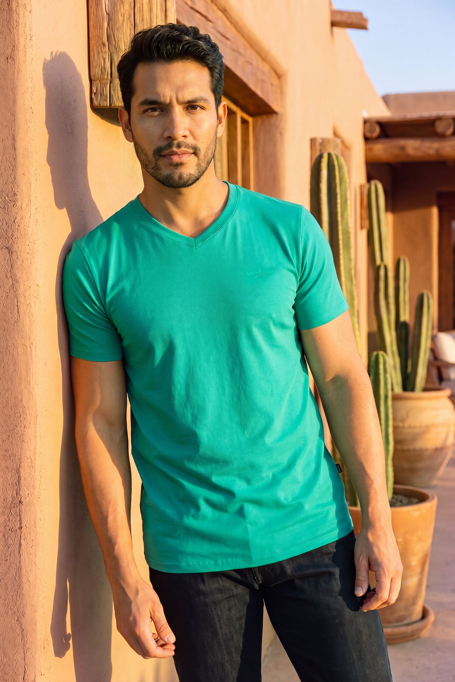 BARABAS Men's Solid Color V-neck T-shirts VTV216 Dark Green