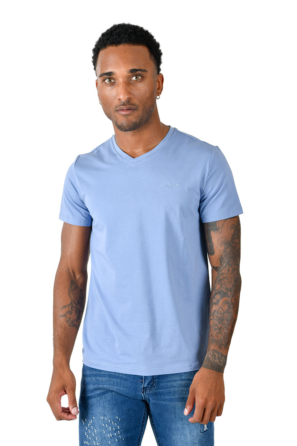 BARABAS Men's Solid Color V-neck T-shirts VTV216 Royal
