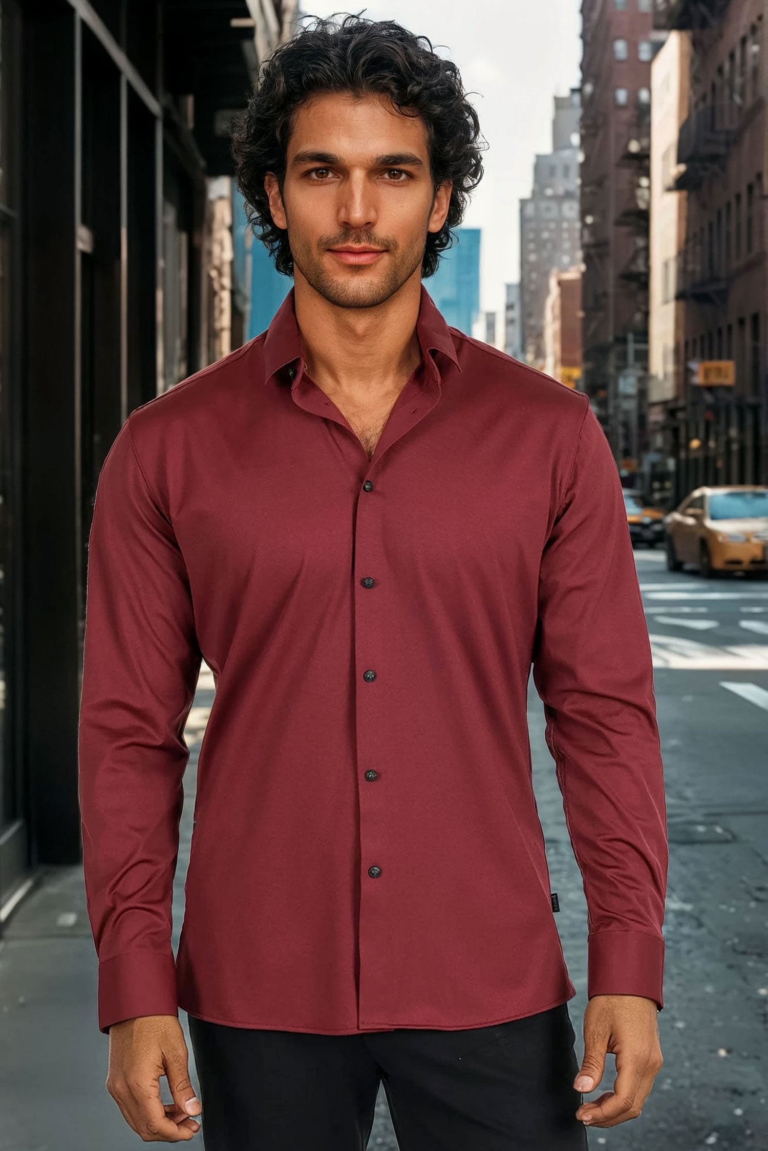 Barabas Men's Premium No Stitches Long Sleeves Shirts 2B400