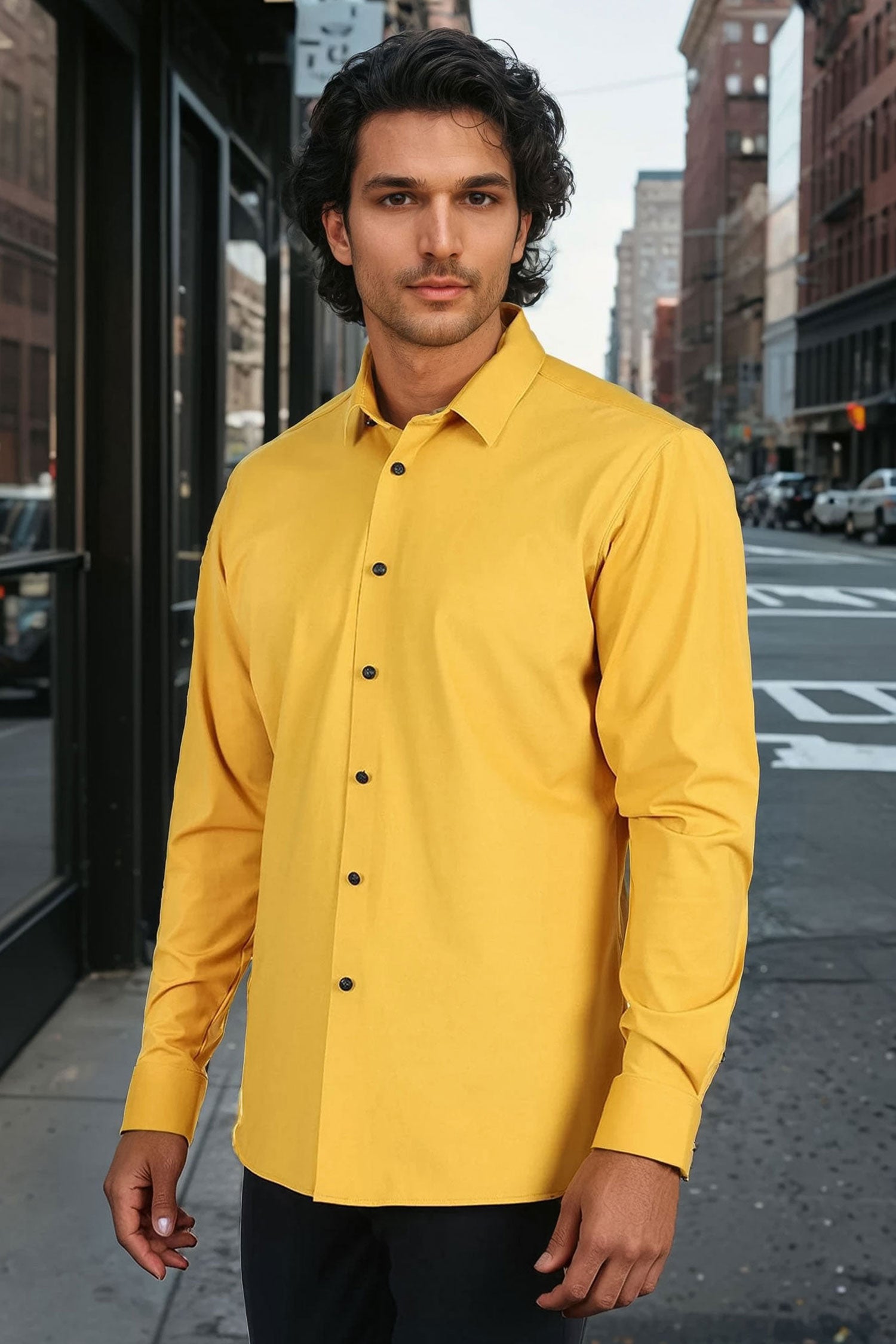 Barabas Men's Premium No Stitches Long Sleeves Shirts 2B400