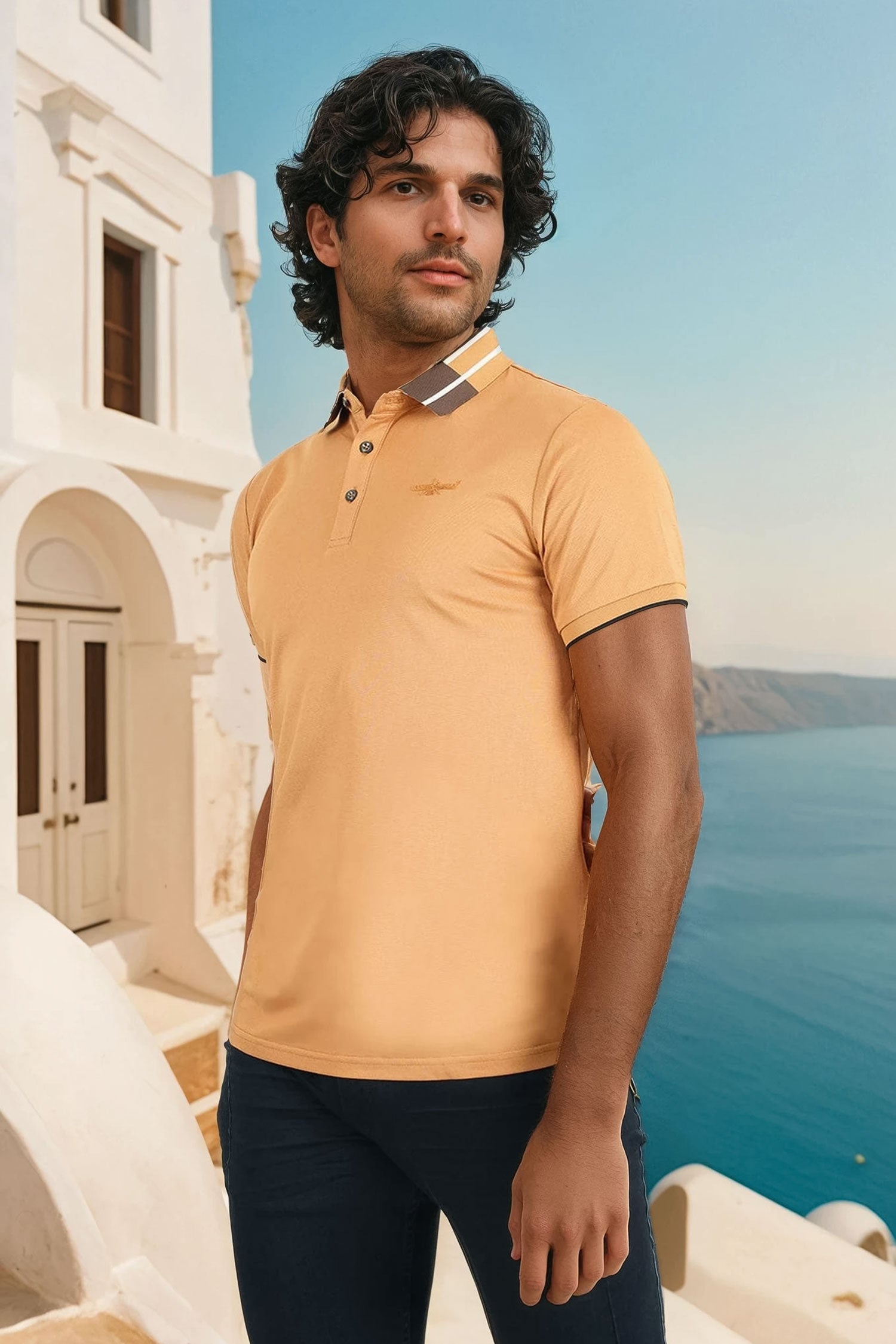 Barabas Men's Solid Color Luxury Short Sleeves Polo Shirts 2PP826 Coffee