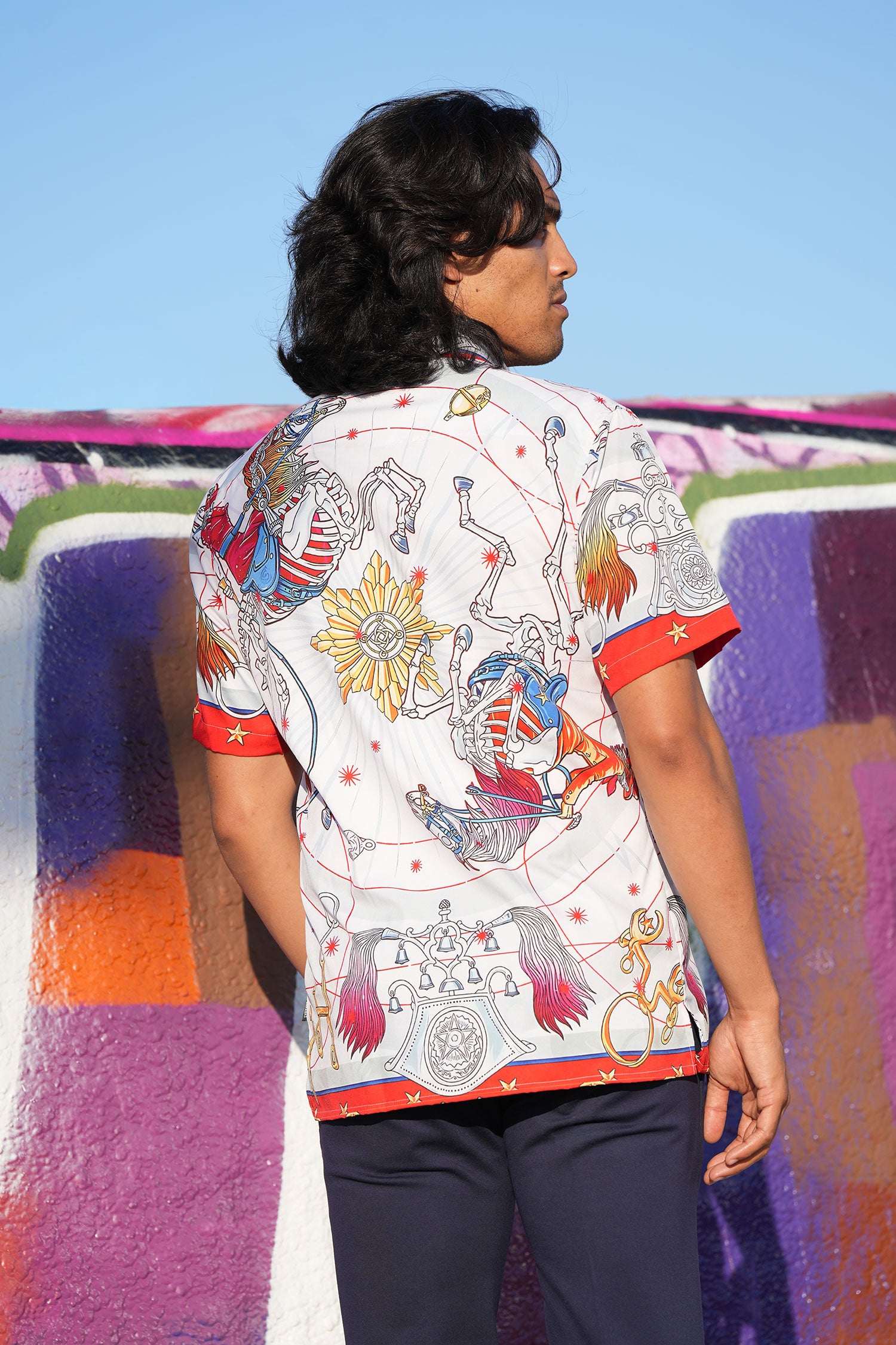 BARABAS Men's Animal Geometric Button Down Short Sleeve Shirts 4sst32 Multi