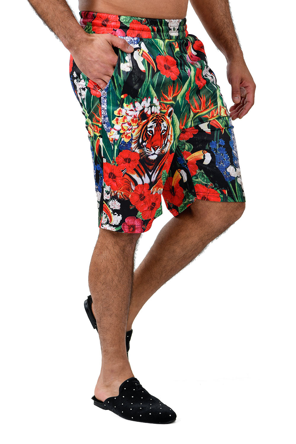 Barabas Men's Printed Floral Leaves Tiger Toucans Bird Shorts BSP9007