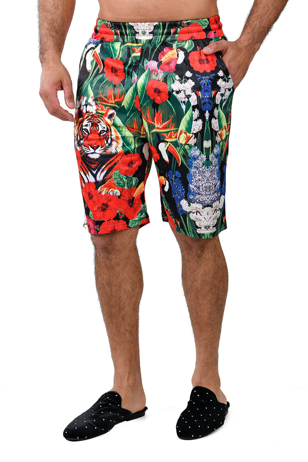 Barabas Men's Printed Floral Leaves Tiger Toucans Bird Shorts BSP9007