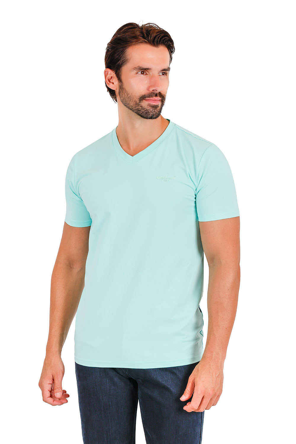 BARABAS Men's Solid Color V-neck T-shirts VTV216 Aqua