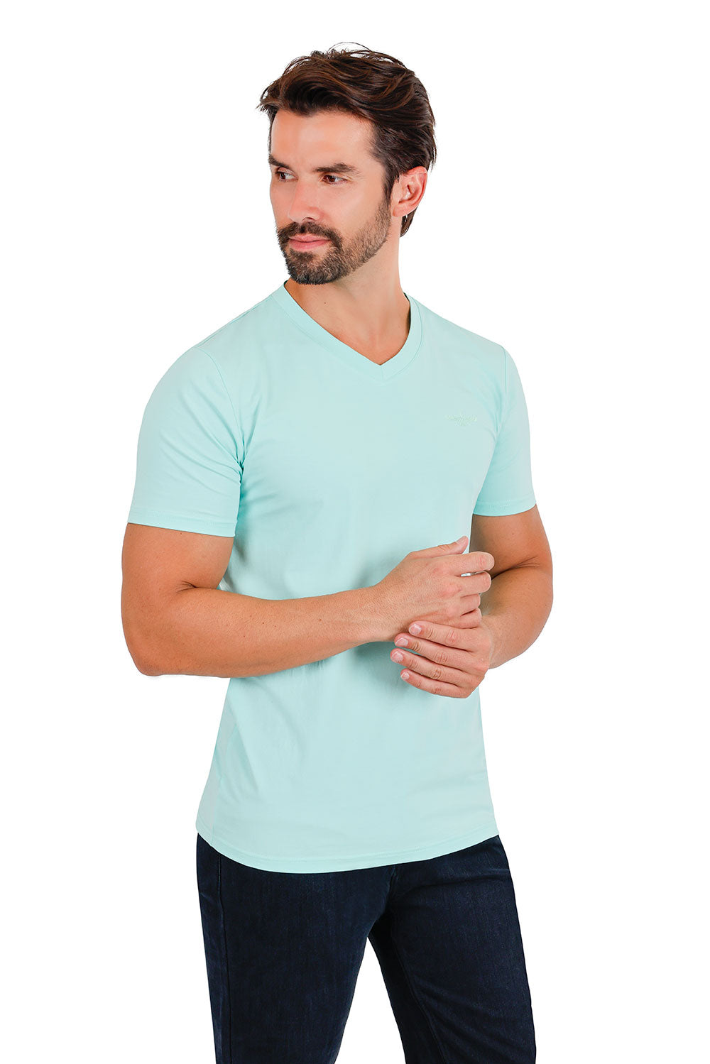 BARABAS Men's Solid Color V-neck T-shirts VTV216 Aqua