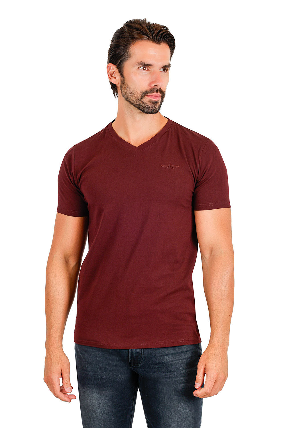 BARABAS Men's Basic Solid Color Premium V-neck T-shirts TV216  Brown 