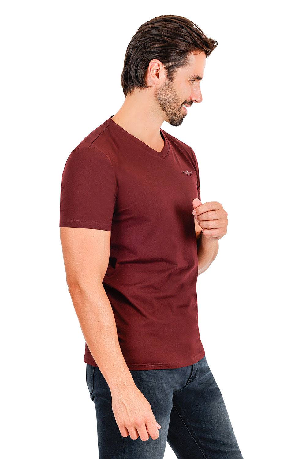 BARABAS Men's Basic Solid Color Premium V-neck T-shirts TV216  Brown 