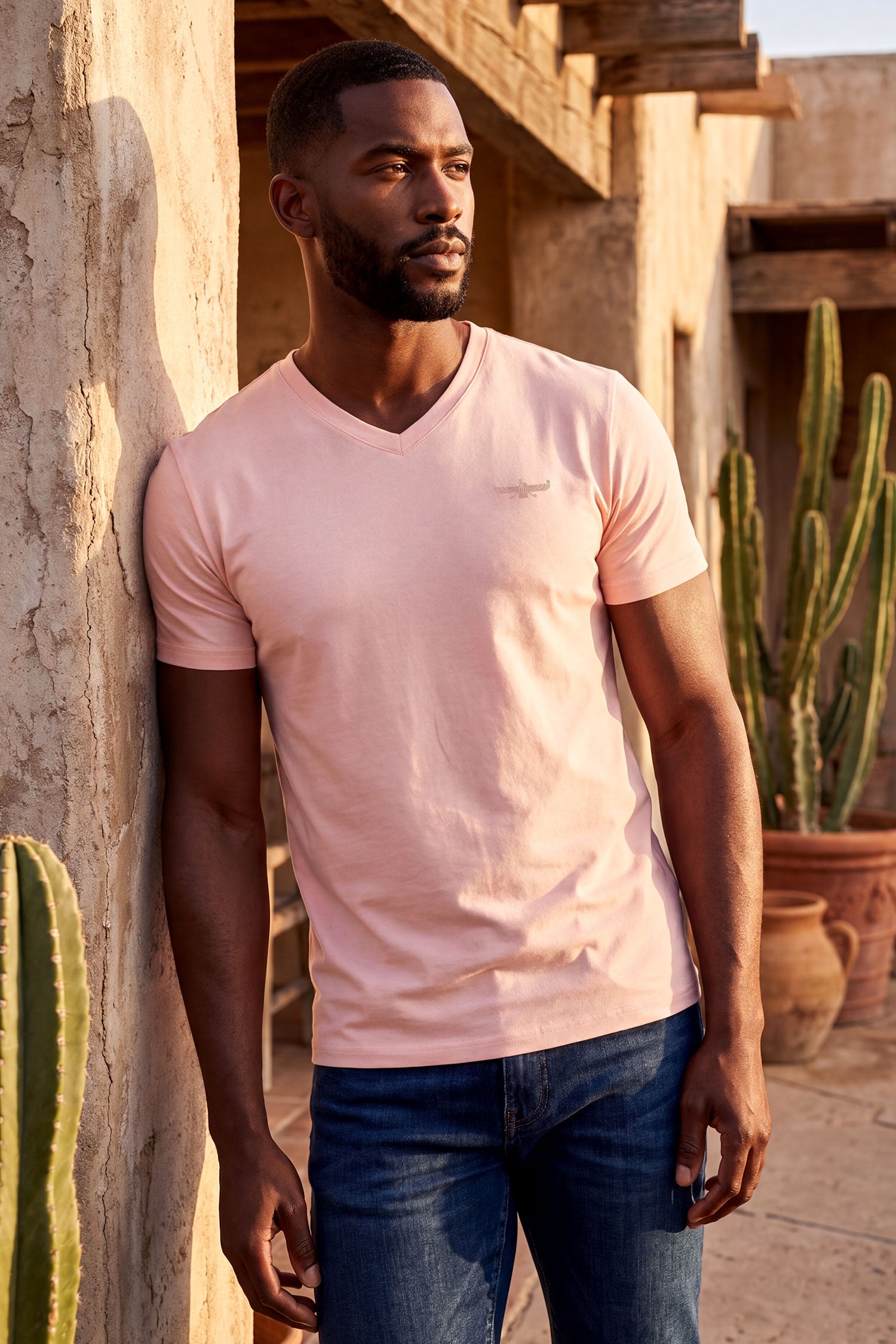 BARABAS Men's Solid Color V-neck T-shirts VTV216 Flamingo