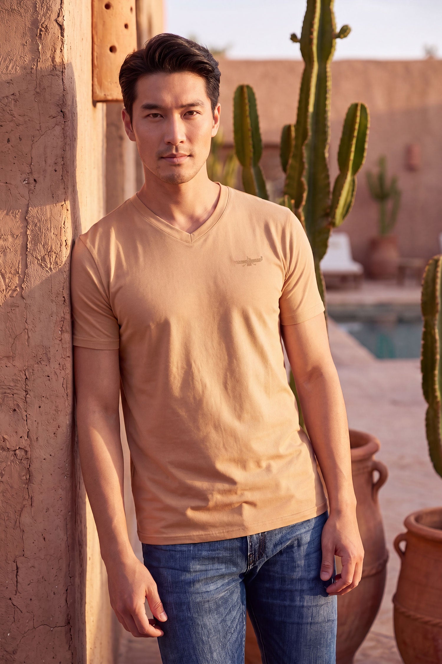 BARABAS Men's Solid Color V-neck T-shirts VTV216 Khaki
