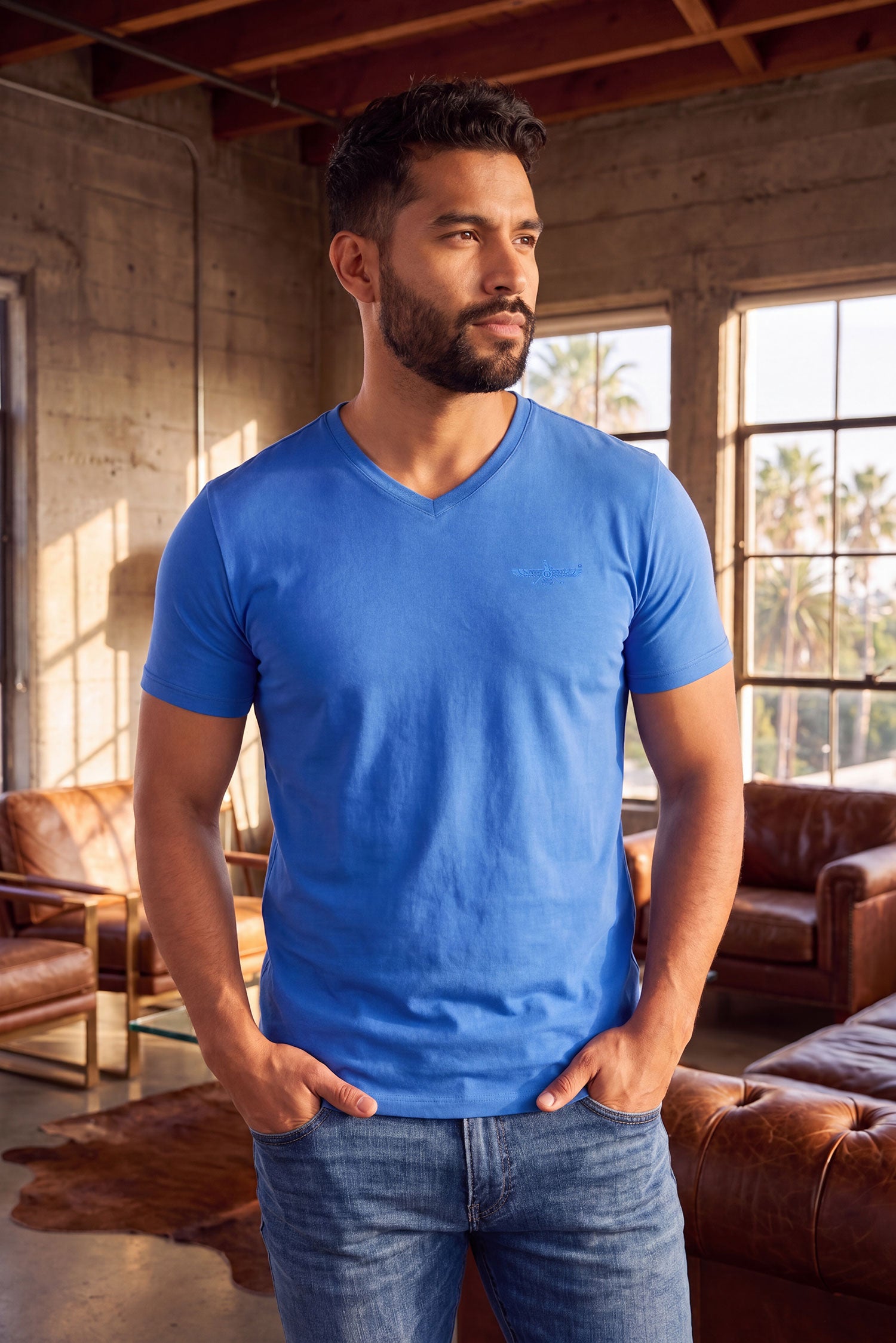 BARABAS Men's Solid Color V-neck T-shirts VTV216 Mykonos Blue