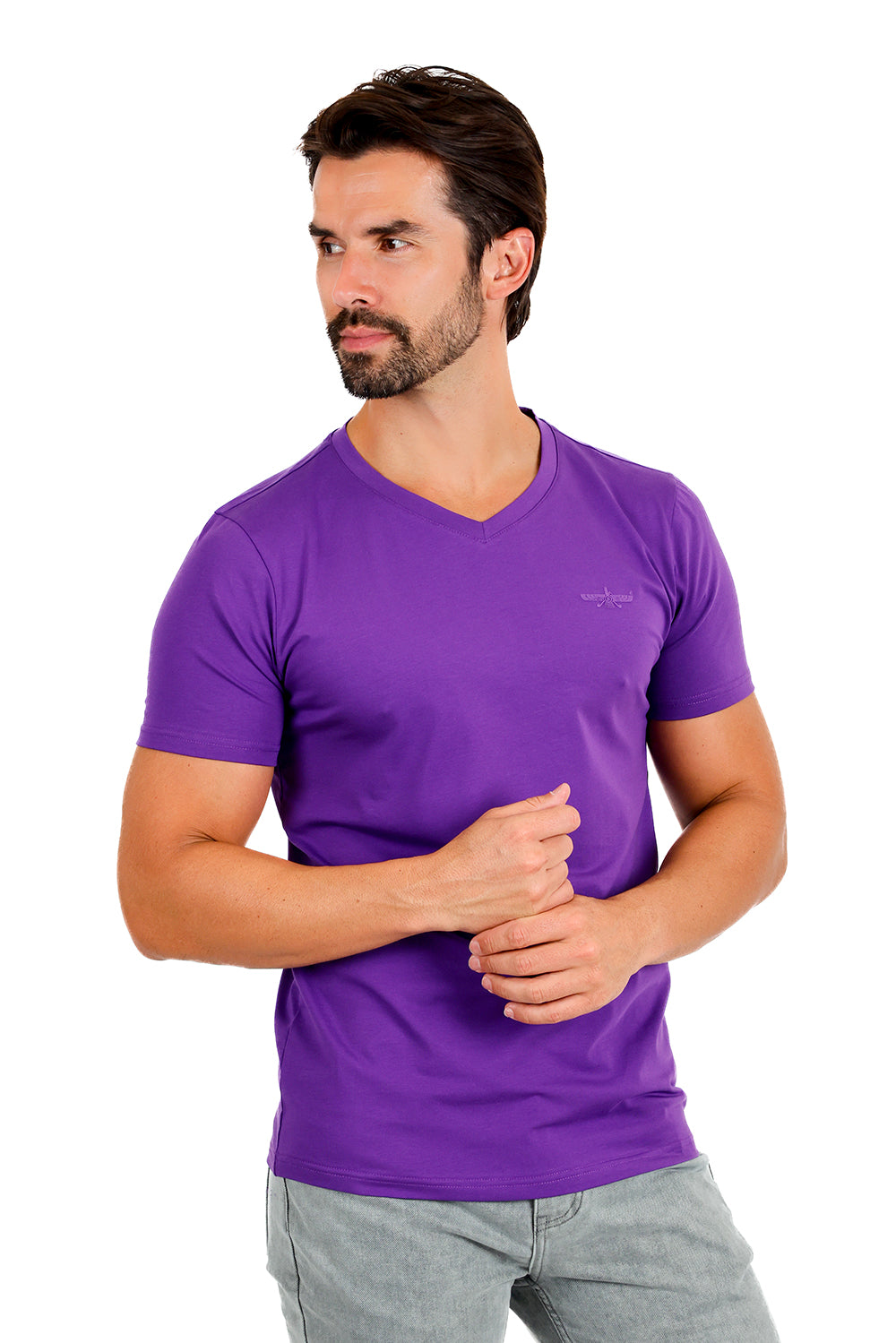 BARABAS Men's Solid Color V-neck T-shirts TV216 Purple