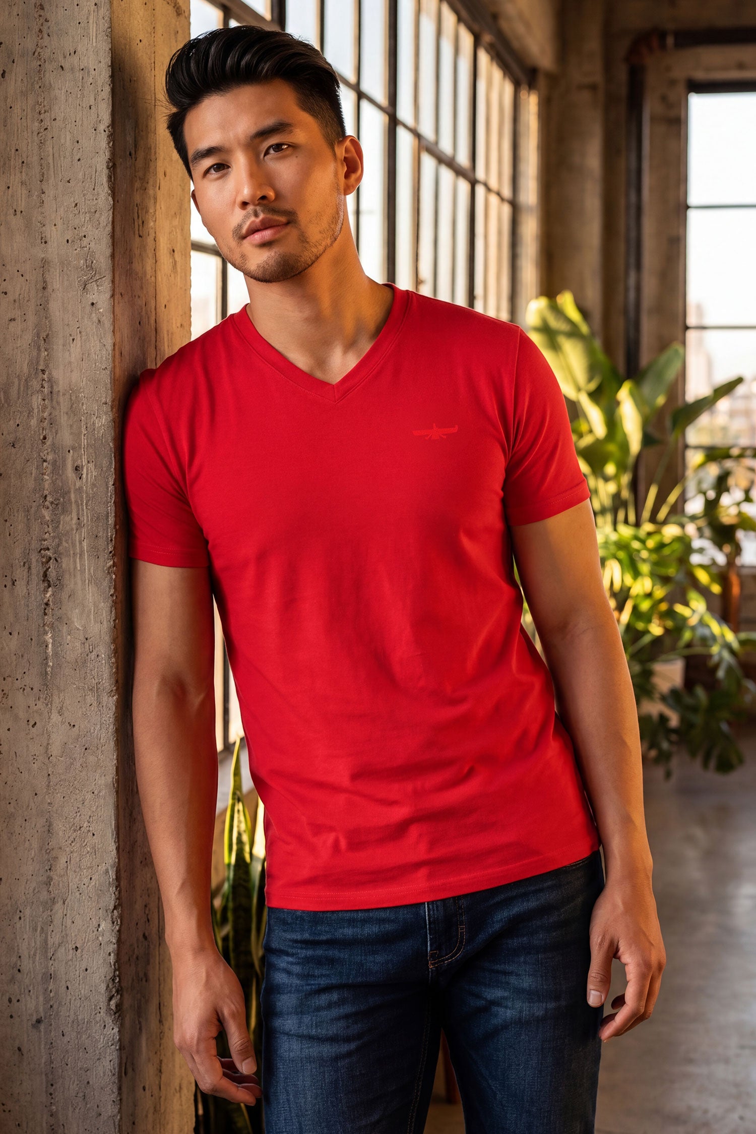 BARABAS Men's Solid Color V-neck T-shirts VTV216 Red