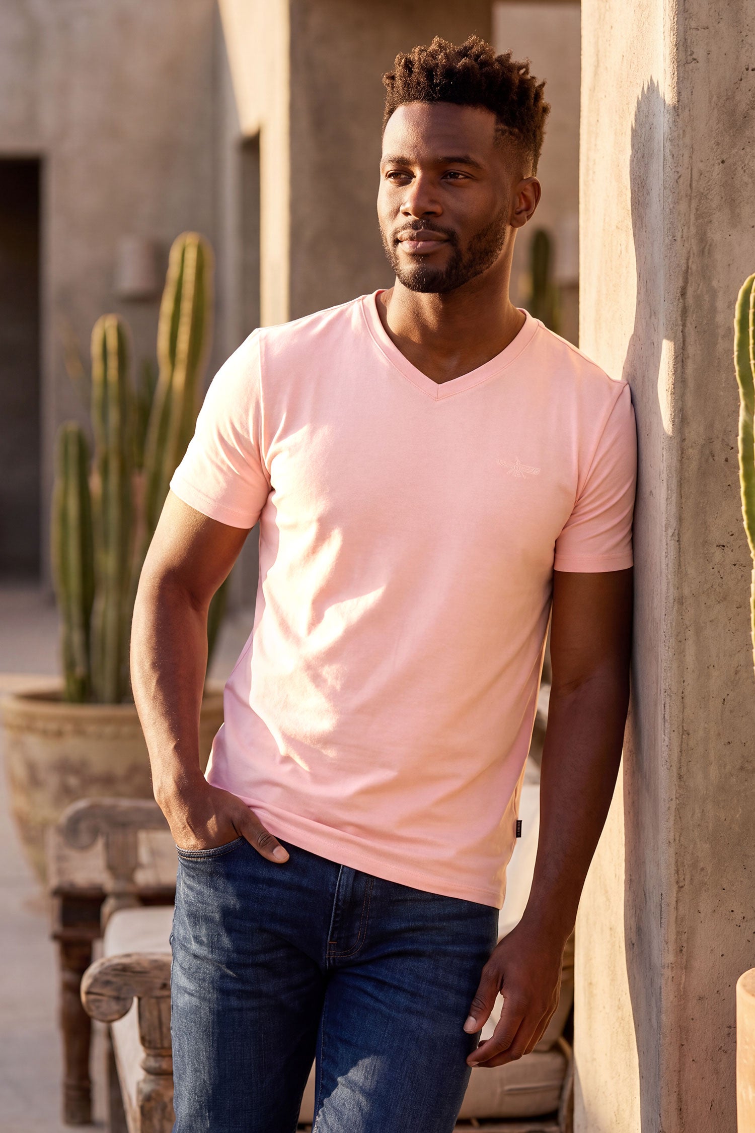 BARABAS Men's Solid Color V-neck T-shirts VTV216 Rose