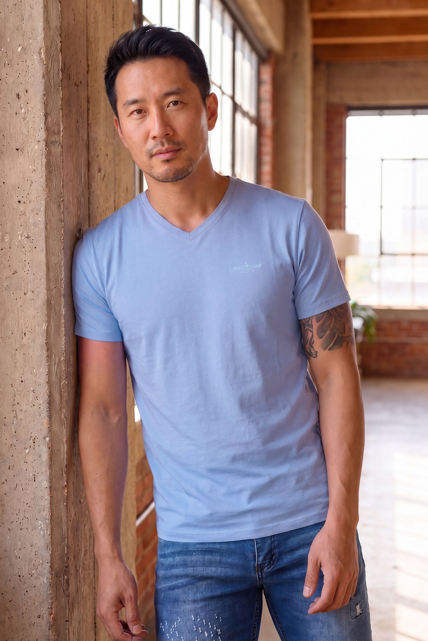 BARABAS Men's Solid Color V-neck T-shirts VTV216 Spring Lake
