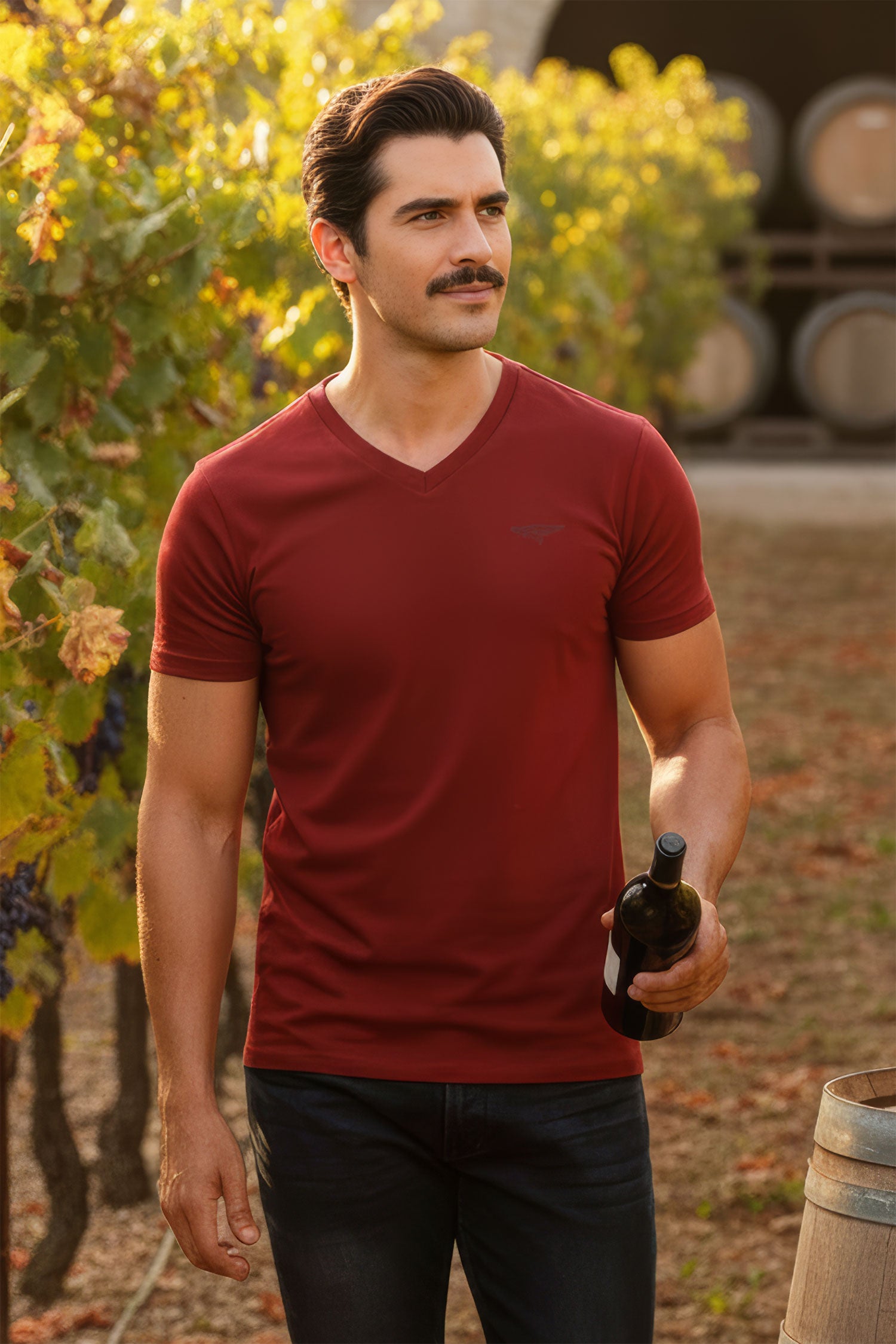 BARABAS Men's Solid Color V-neck T-shirts VTV216 Wine