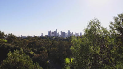 Barabas men's Fashion Clothing New Year Sale