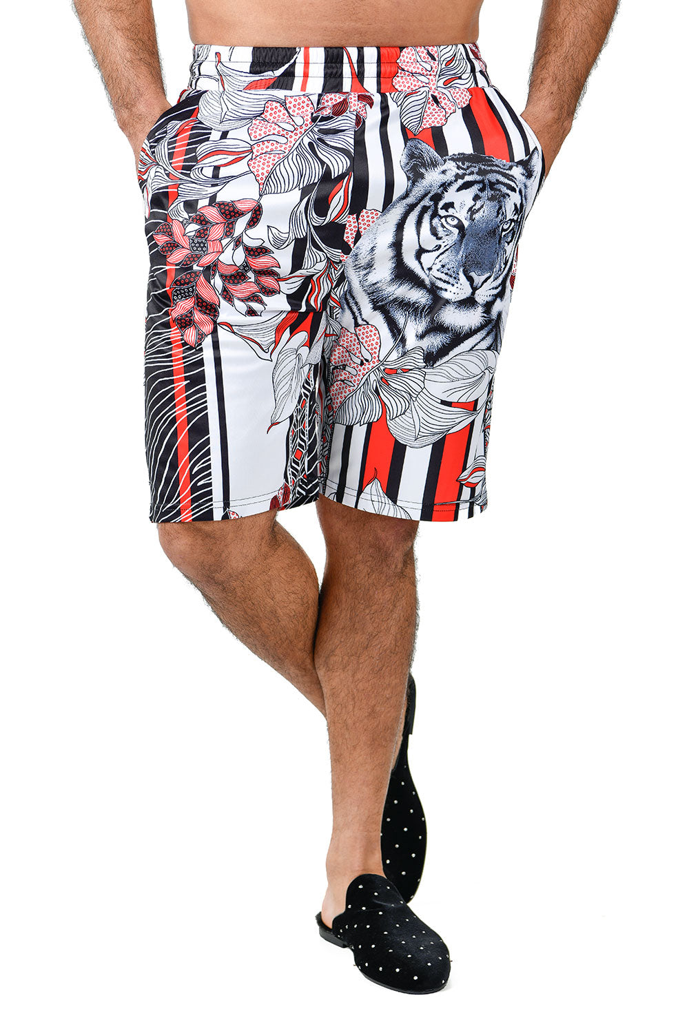 Barabas Men's Striped Floral Tiger Printed Shorts BSP9004