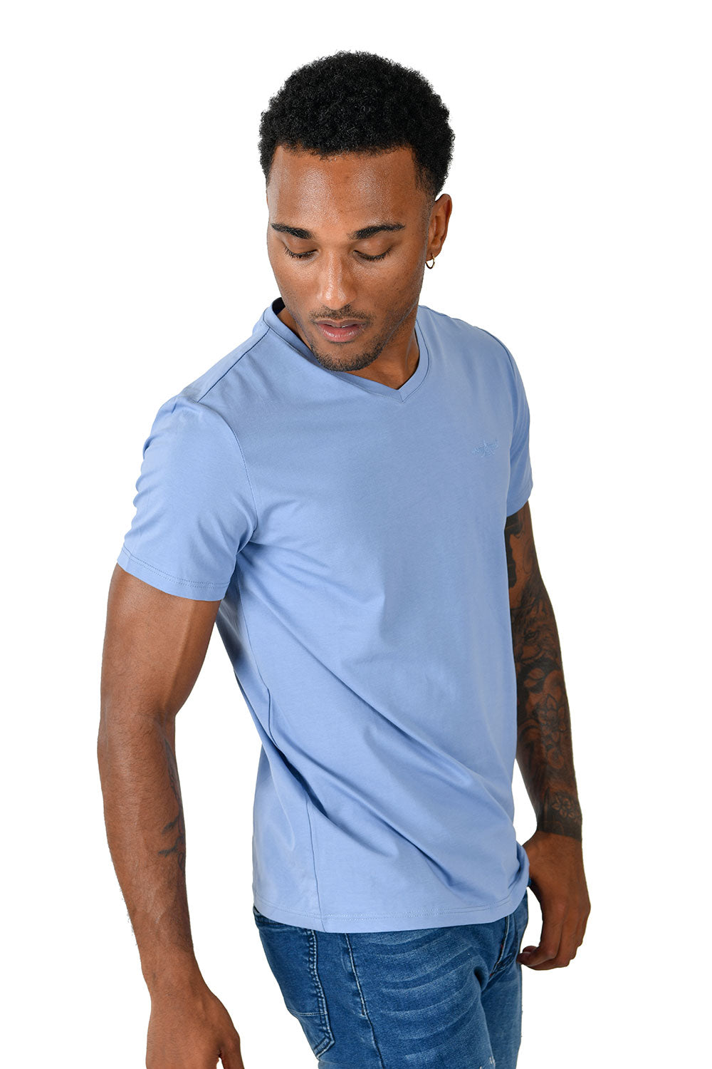 BARABAS Men's Solid Color V-neck T-shirts VTV216  Royal